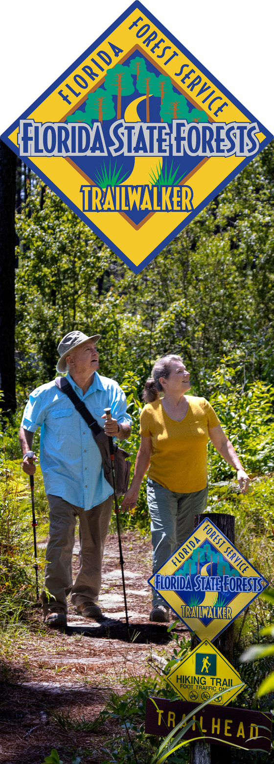 TrailWalker_Brochure